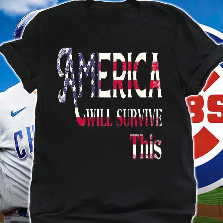 America Will Survive This USA Flag T-Shirt t-shirt shirt