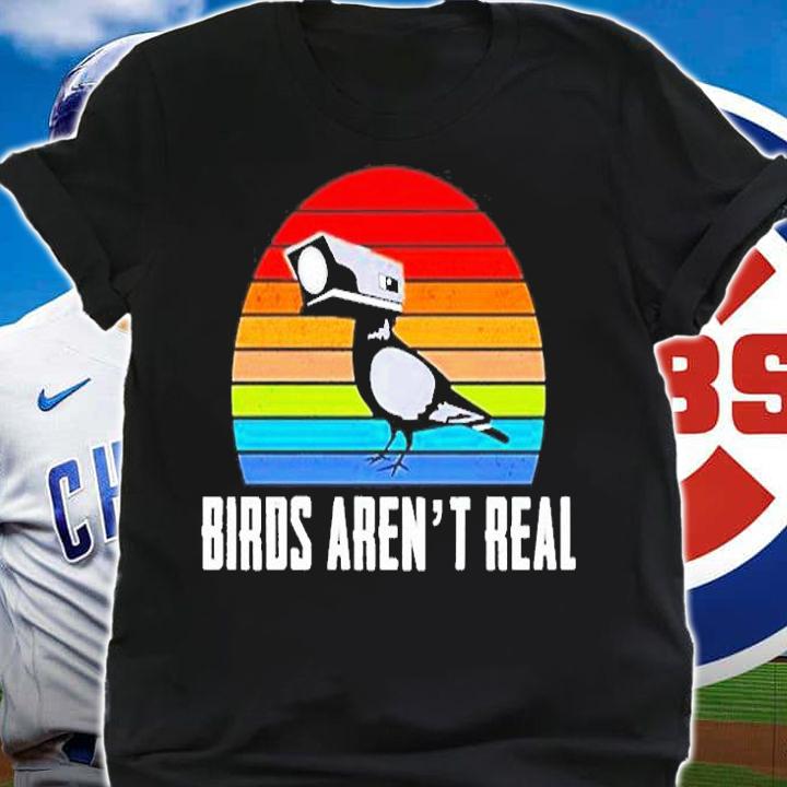 Birds Arent Real Vintage T-Shirt t-shirt
