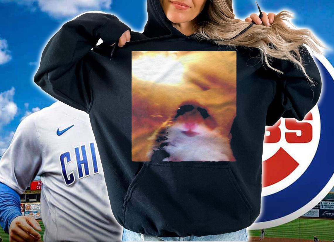 Hamster Staring At Camera Meme Shirt
