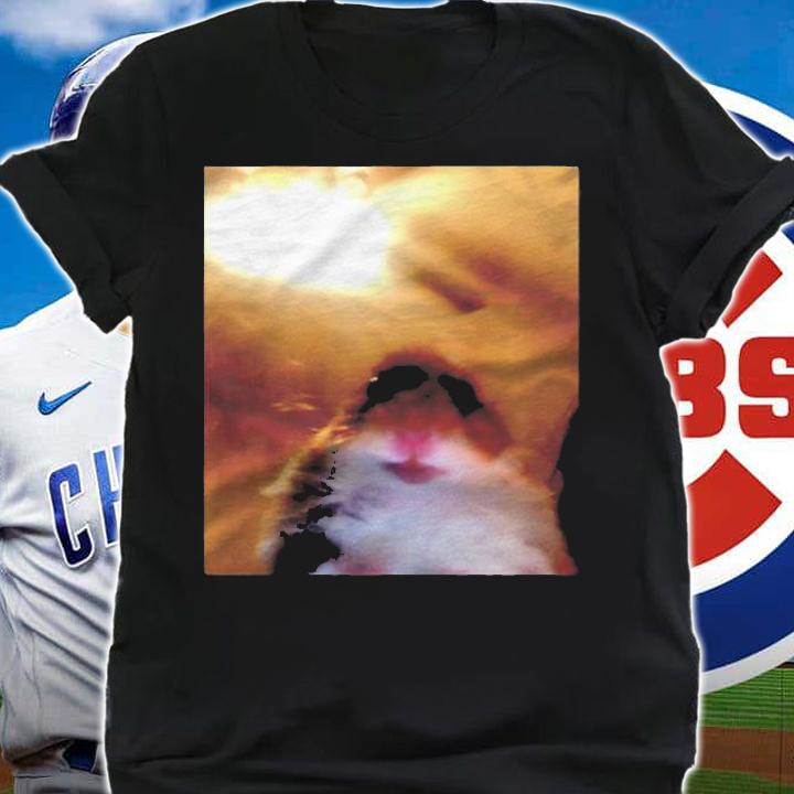Hamster Staring At Camera Meme Shirt