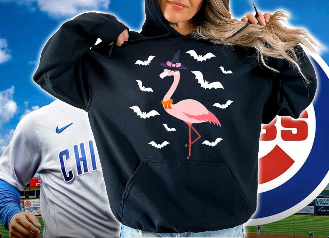 Flamingo Witch For Halloween Costume T-Shirt