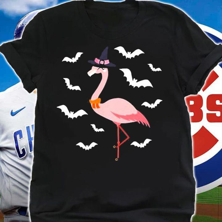 Flamingo Witch For Halloween Costume T-Shirt