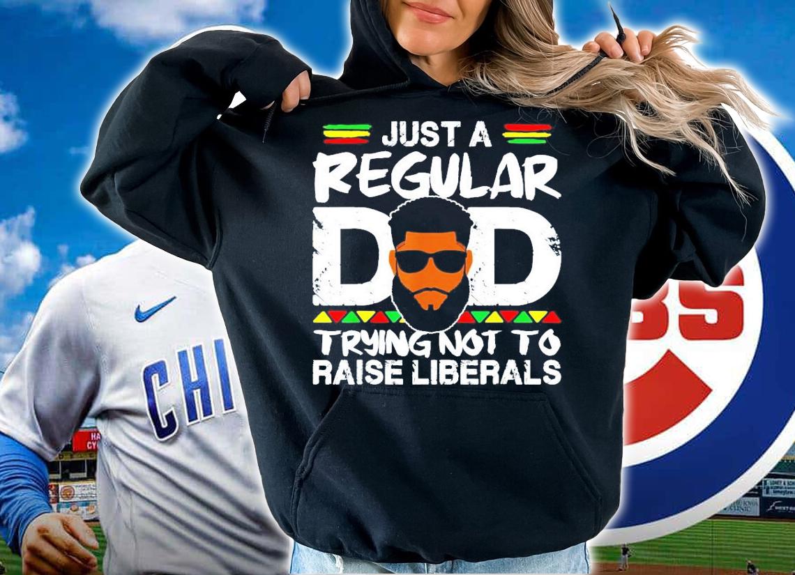 Just a regular dad trying not to raise liberals t-shirt hoodie