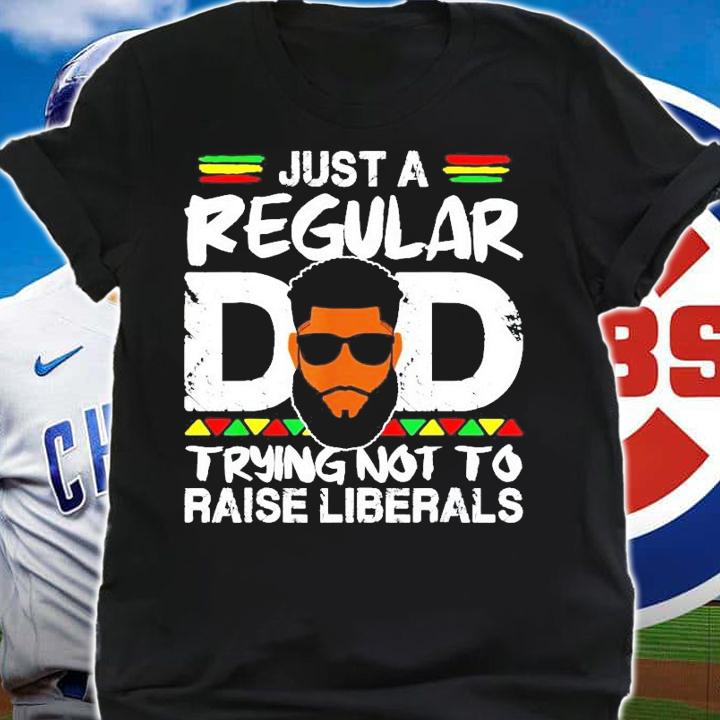 Just a regular dad trying not to raise liberals t-shirt shirt